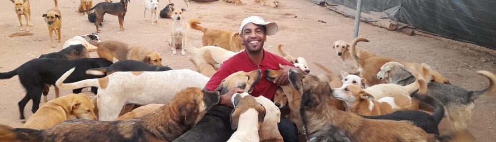 Tierhilfe Marokko